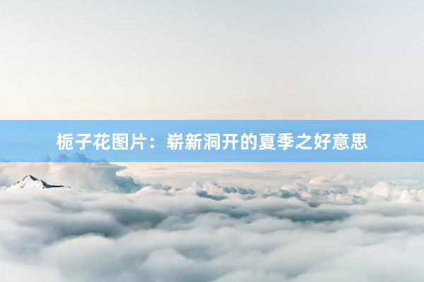 栀子花图片：崭新洞开的夏季之好意思